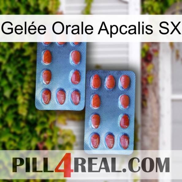 Gelée Orale Apcalis SX 05.jpg